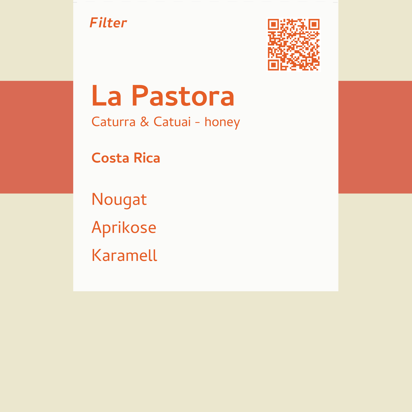 Filter - La Pastora - Costa Rica