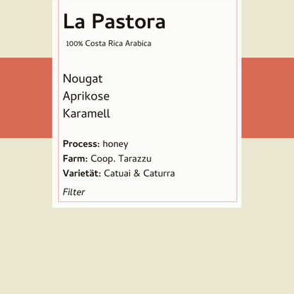 Filter - La Pastora - Costa Rica