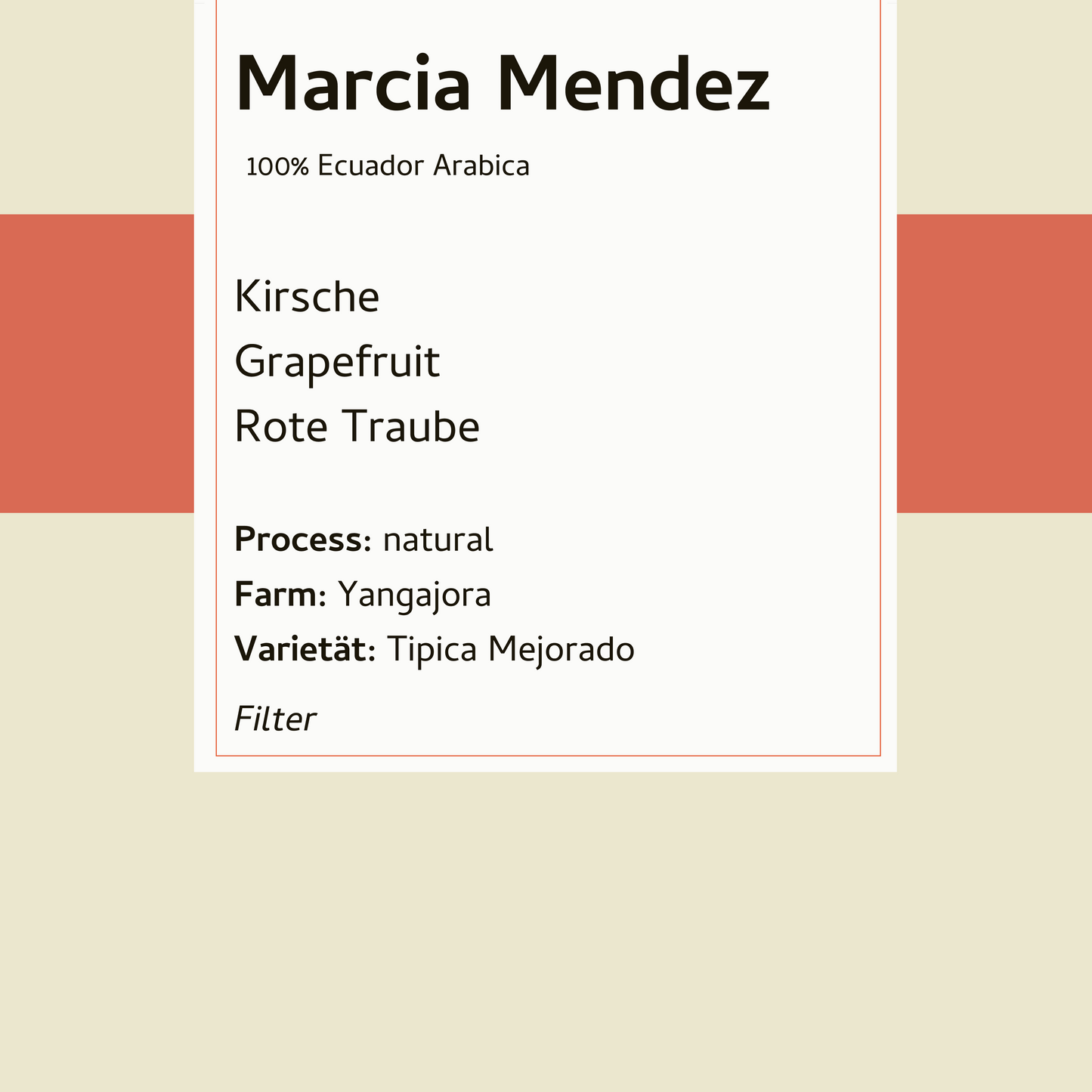 Filter - Marcia Mendez - Equador