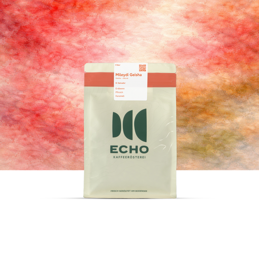 Filter - Mileydi Geisha - El Salvador