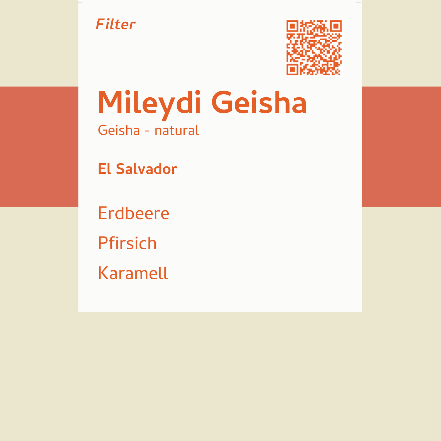 Filter - Mileydi Geisha - El Salvador