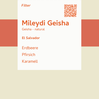 Filter - Mileydi Geisha - El Salvador